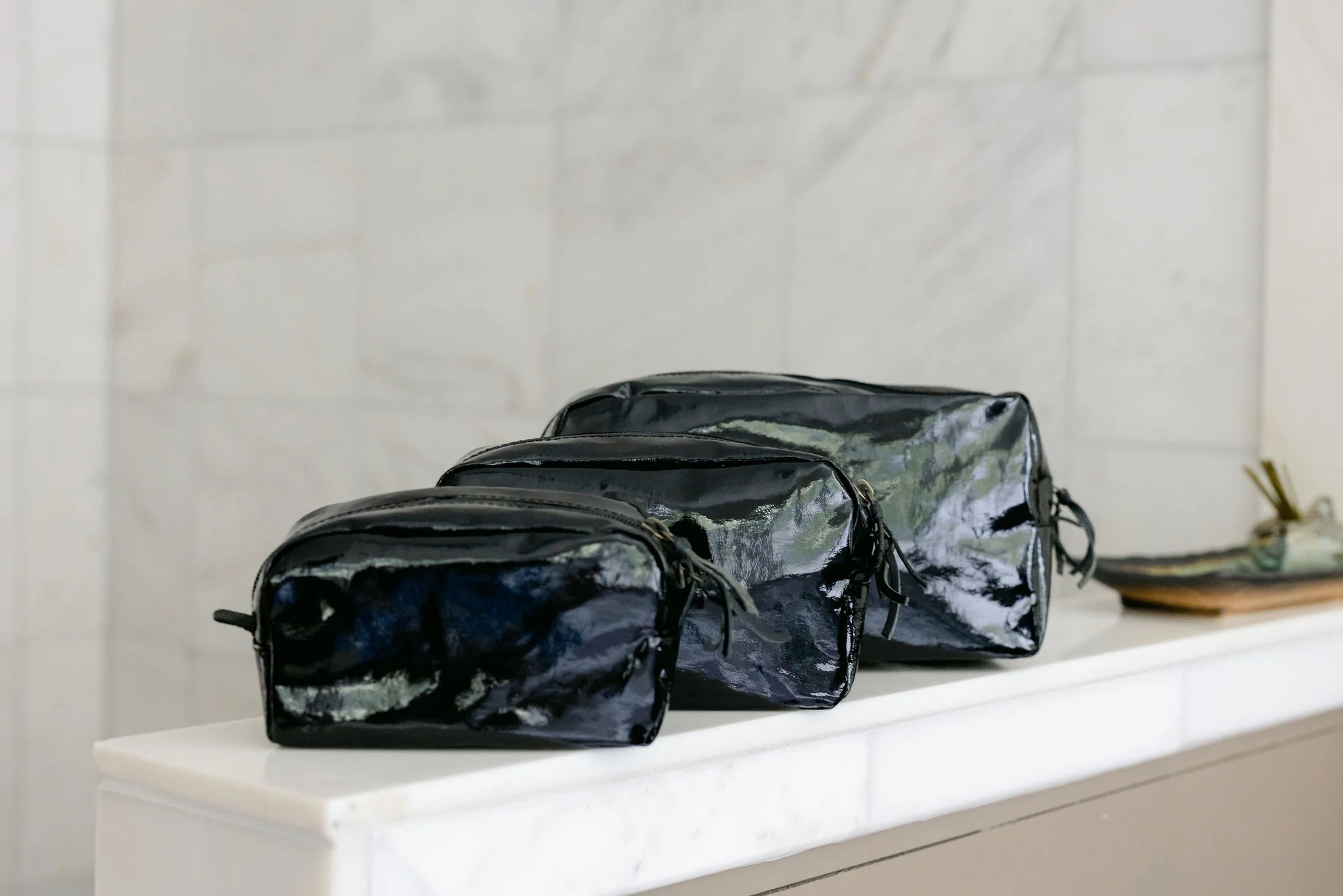 Small Glossy Cosmetic Bag