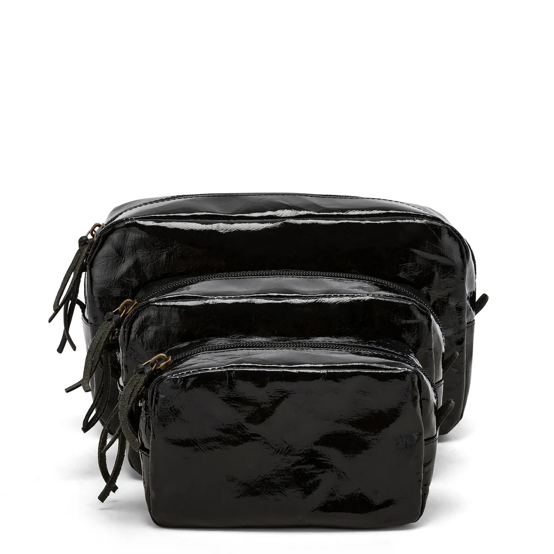 Small Glossy Cosmetic Bag