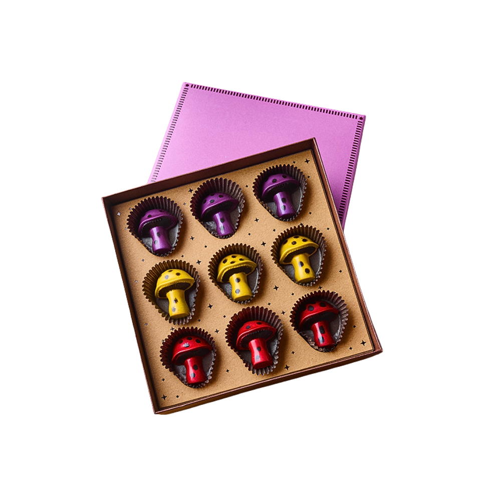 Magical Mushrooms Chocolates – The Lydia Line