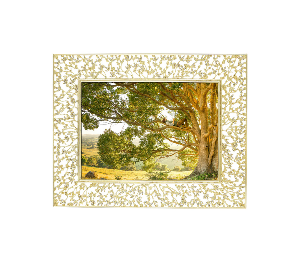 Gold 4" x 6" Isadora Frame