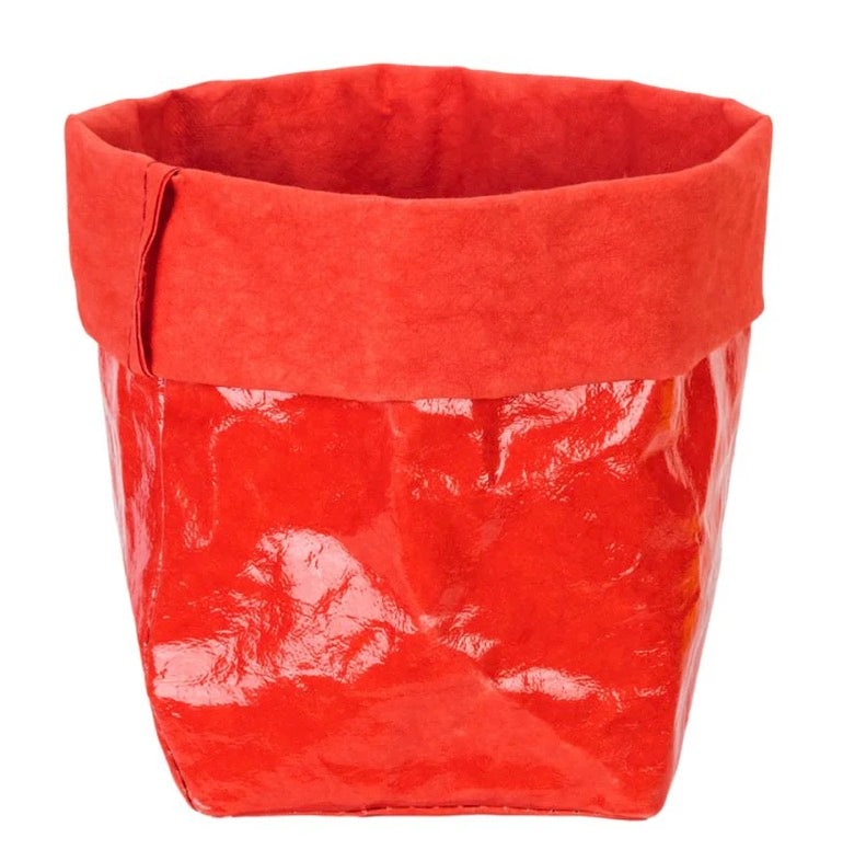 Large Glossy Paper Bag