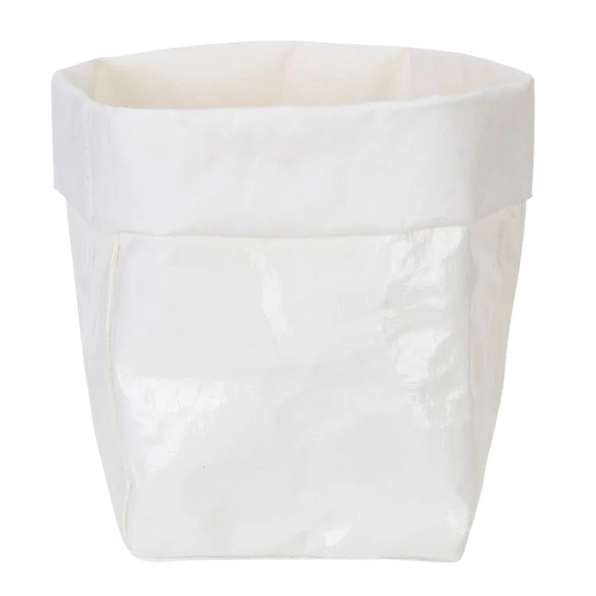 Large Glossy Paper Bag