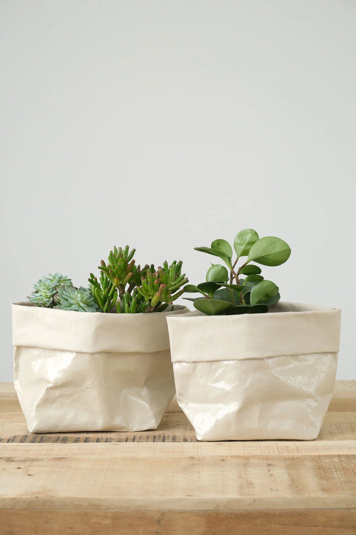 Small Glossy Paper Bag