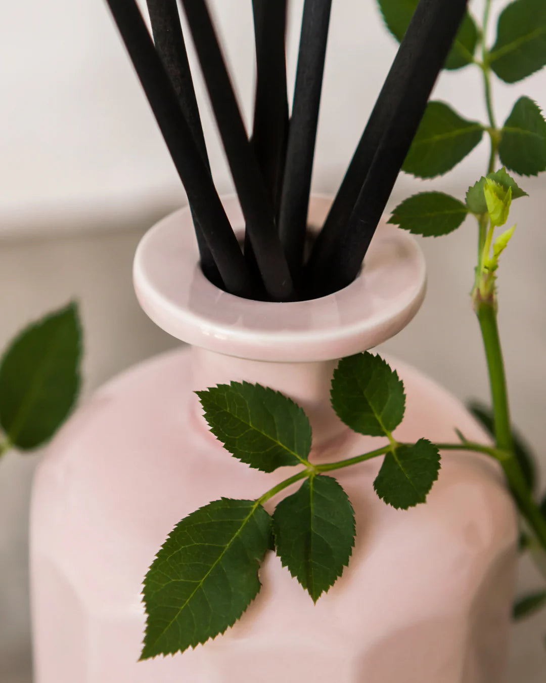 Portus Cale Rose Blush Fragrance Diffuser - 8.5 Ounce