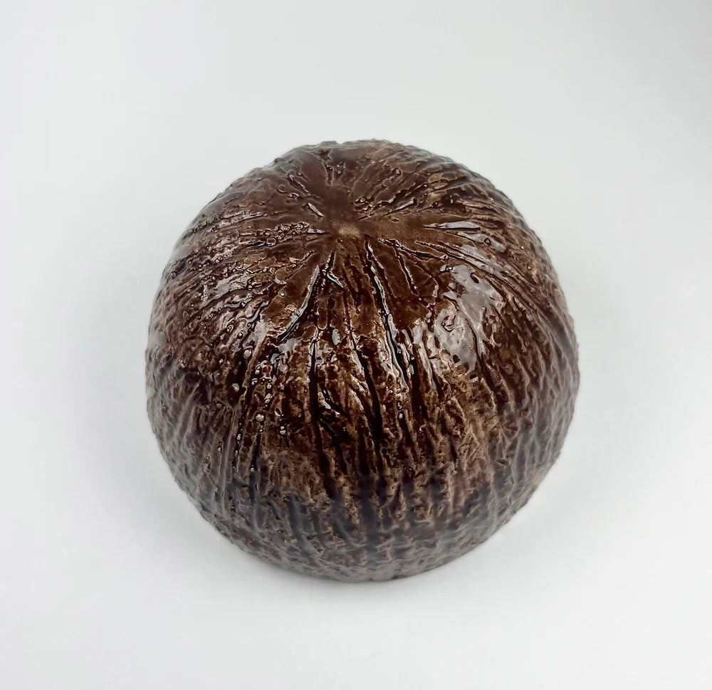 Coconut Bowl