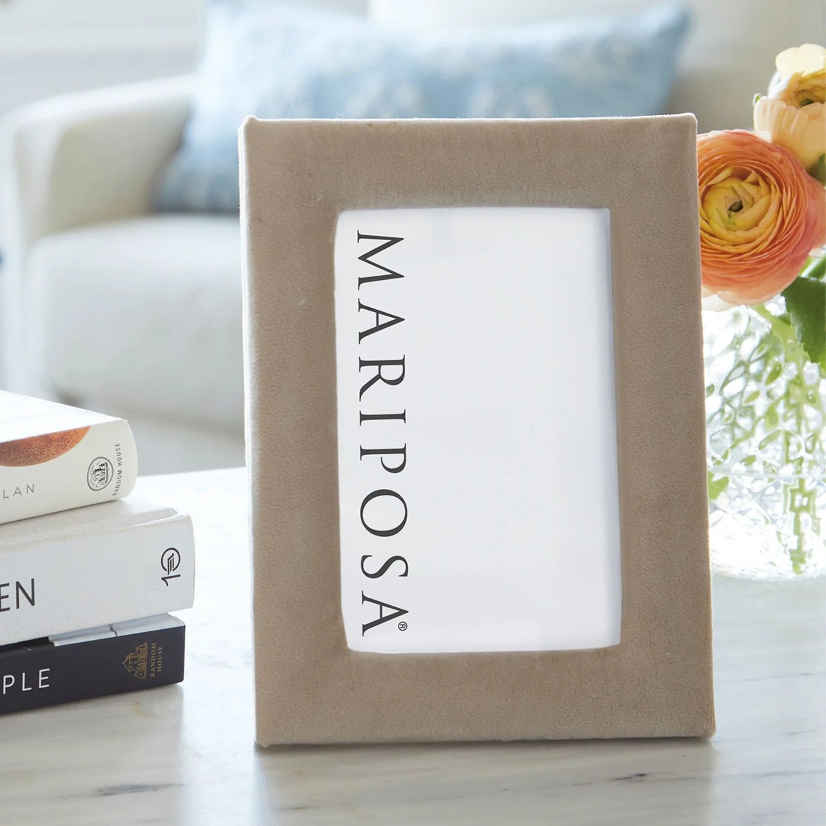 4 x 6 Lola Velvet Frame