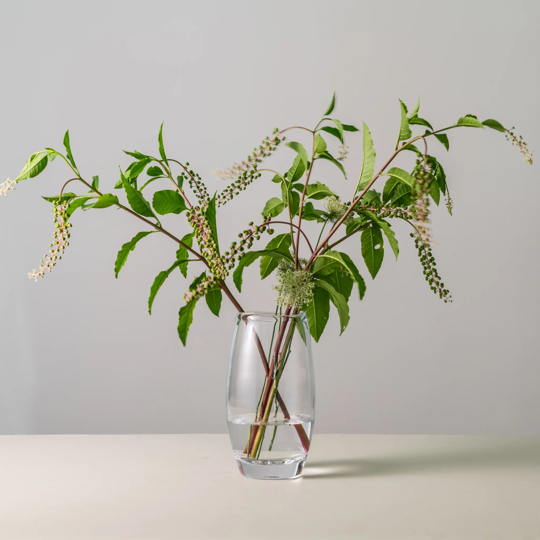 Burlington Vase - Thumbnail 5