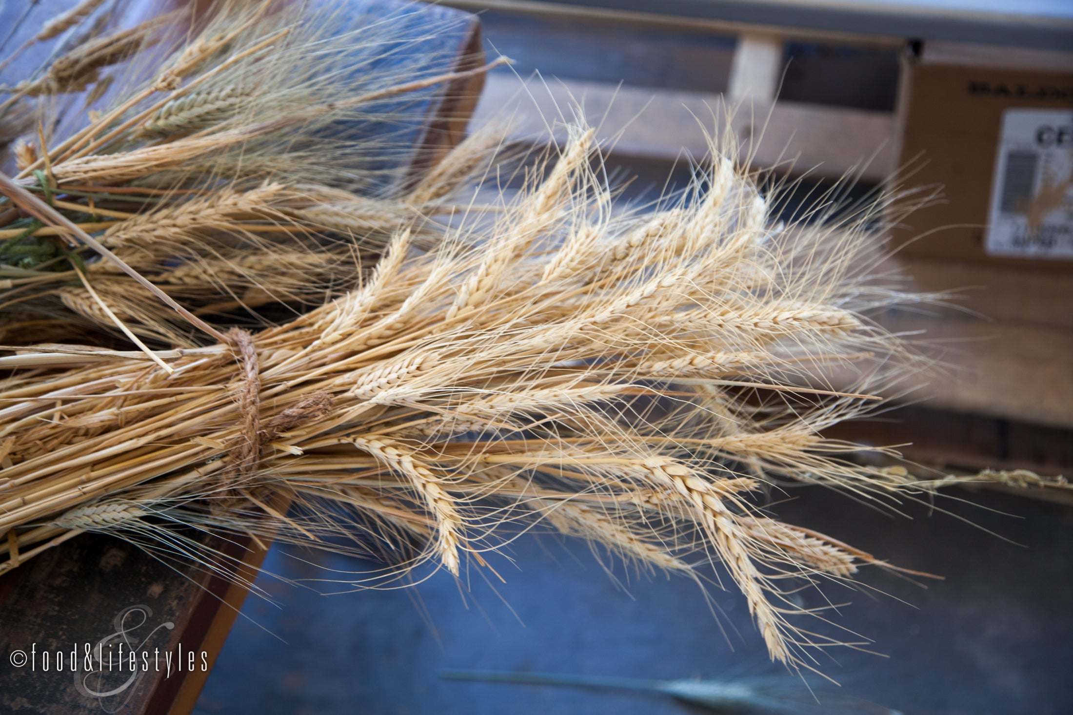 Farmer's Porridge