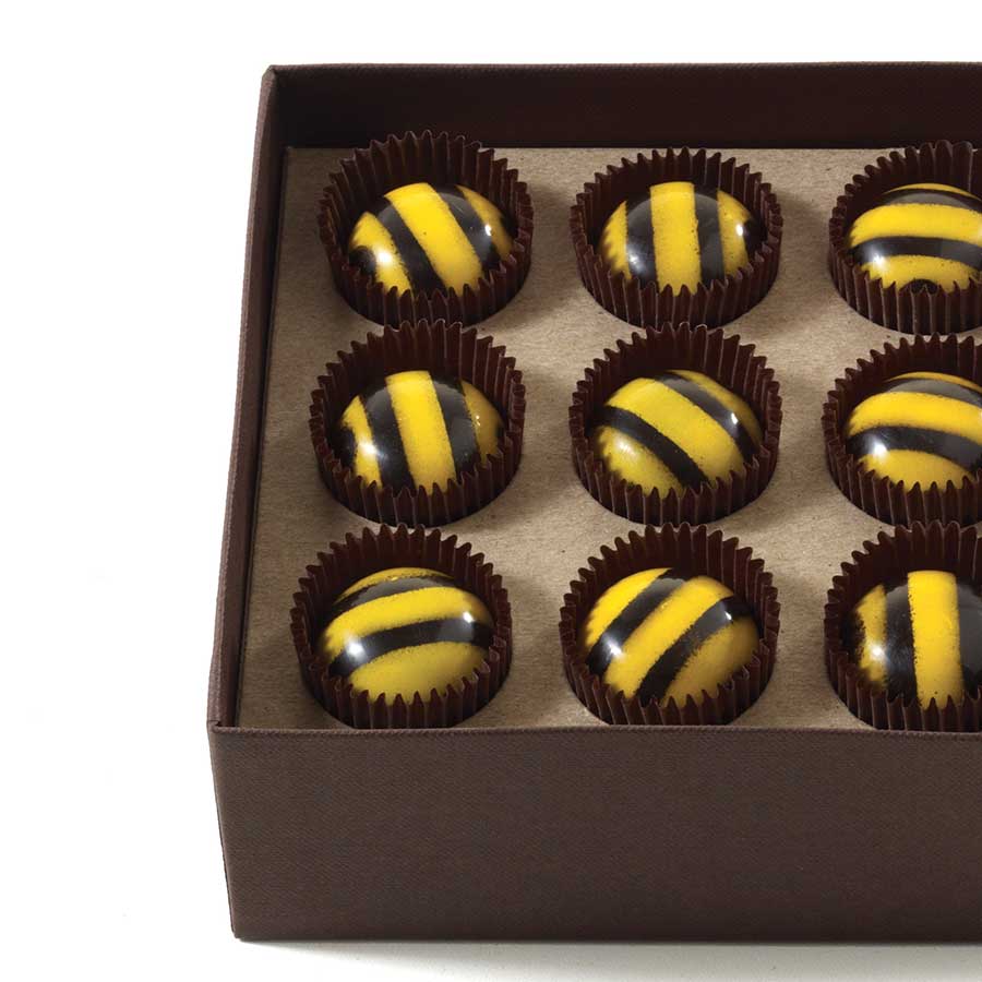 Chocolate Honey Caramel Bees