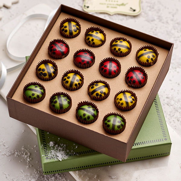 Chocolate Ladybug Medley