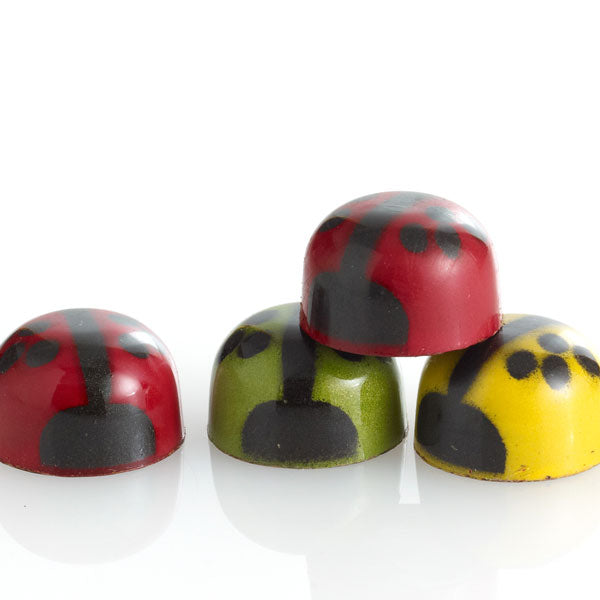 Chocolate Ladybug Medley