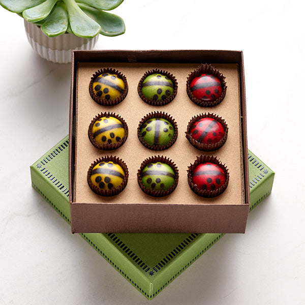 Chocolate Ladybug Medley