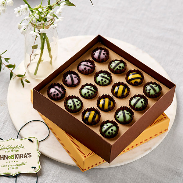 Spring Ladybugs & Bees Chocolates