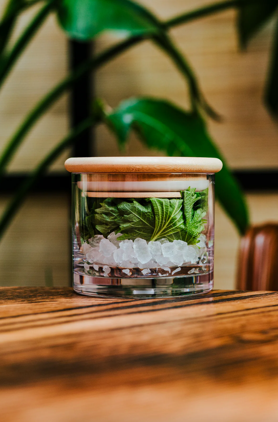 Cayman Bartop Canister - Thumbnail 4