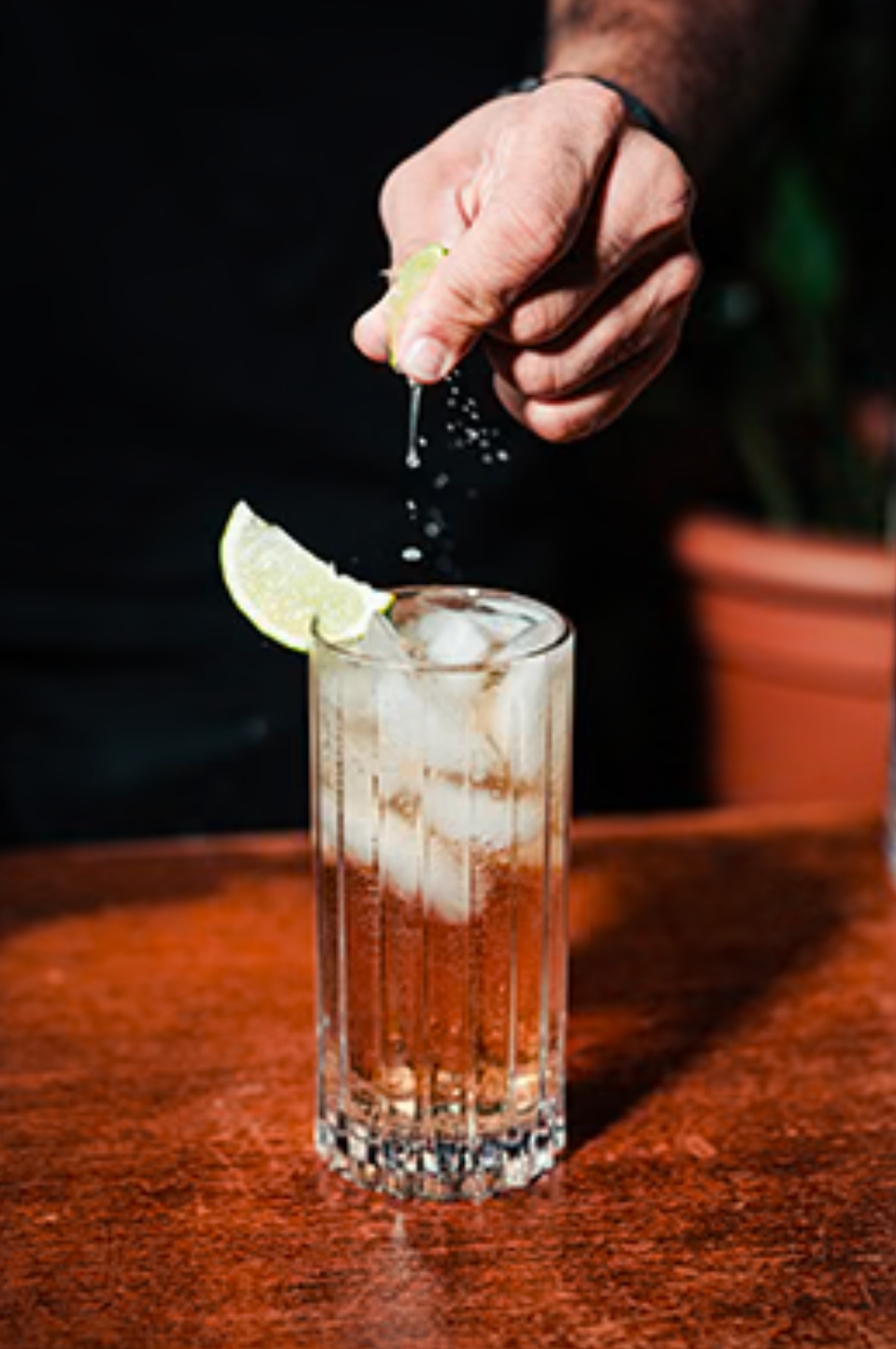 Tryst Hi-Ball Glass - Thumbnail 3