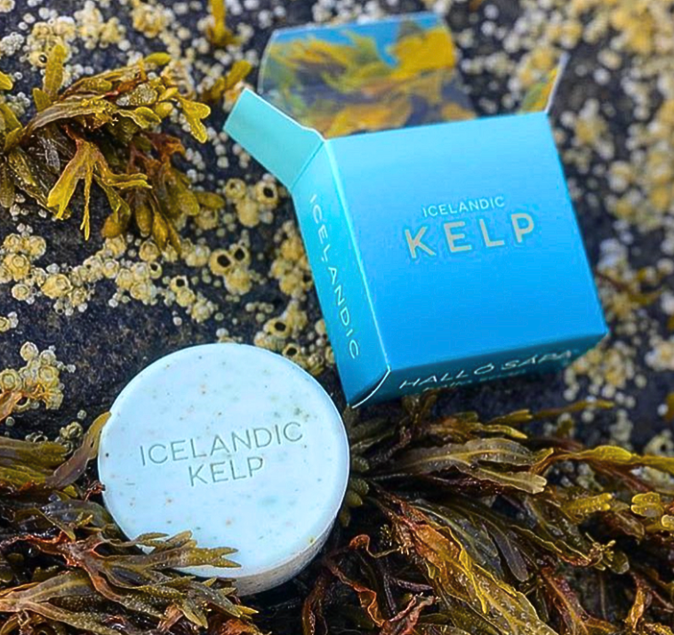 Hallo Iceland Kelp Soap 4 oz Bar