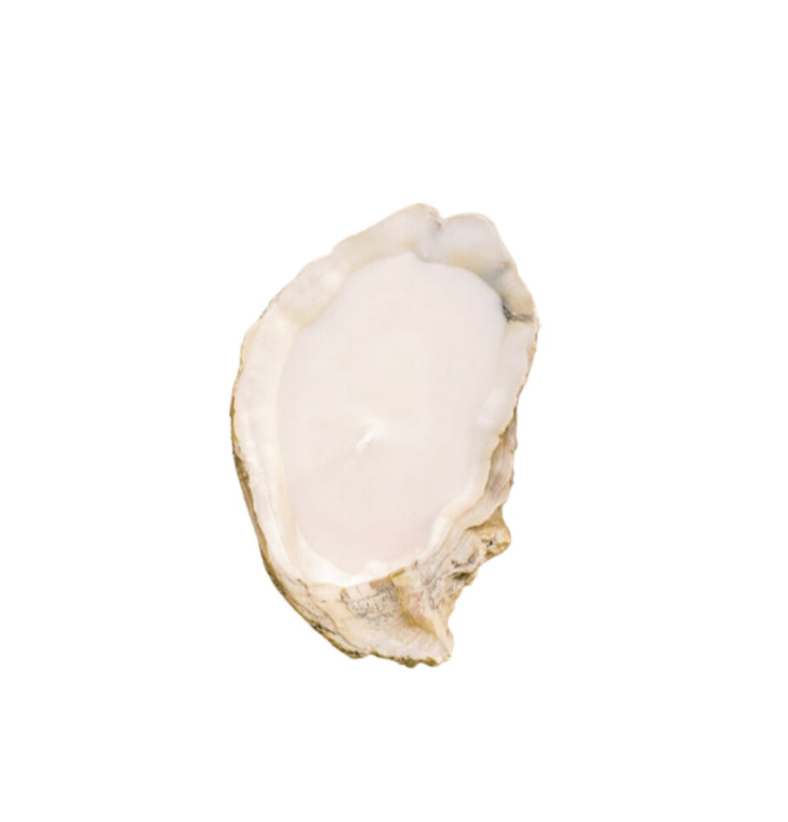 Oyster Shell Candle - Thumbnail 4