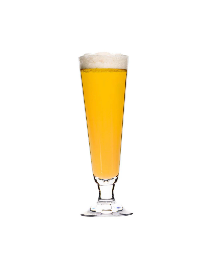 Calypso 14 oz Pilsner Glass