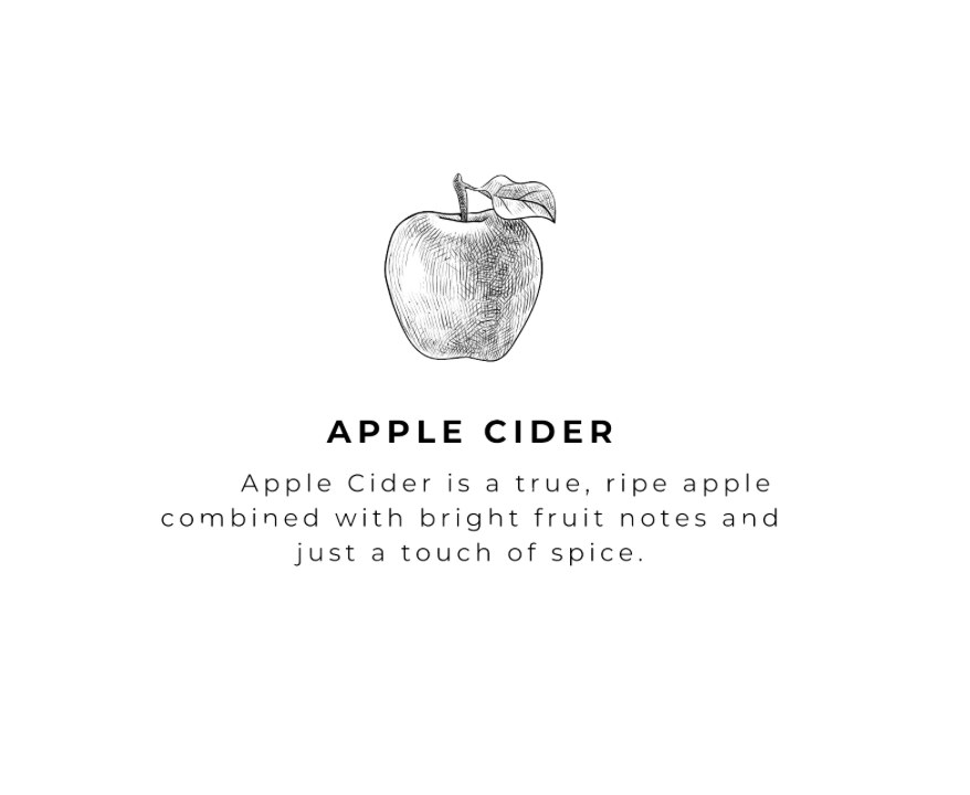 16 oz Bottle Handmade Soap - Fall Scents