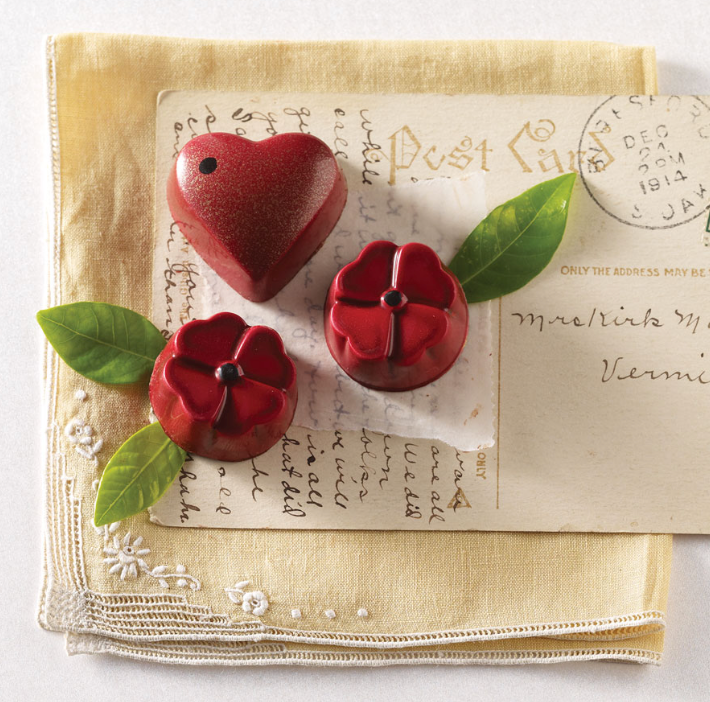 9pc Chocolate Ganache Hearts & Love Bugs