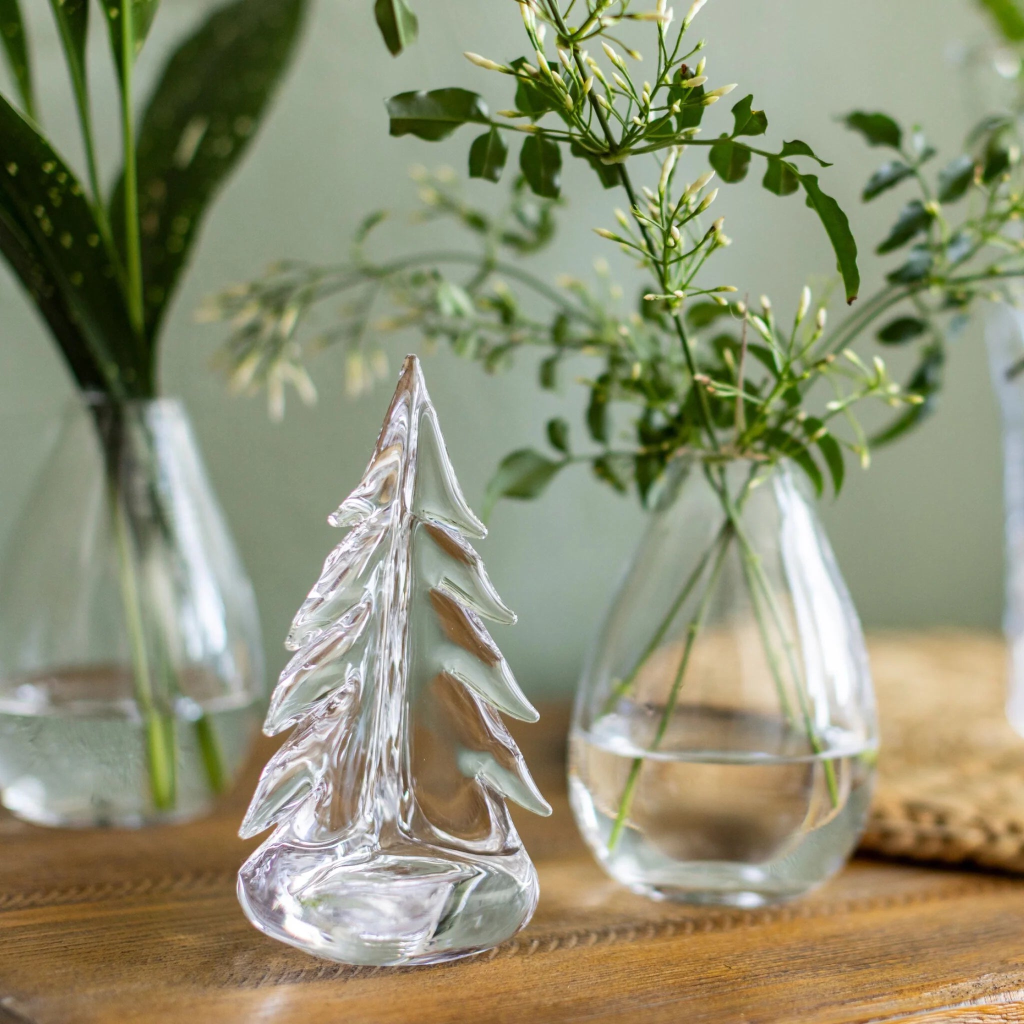 Glass Vermont Evergreen