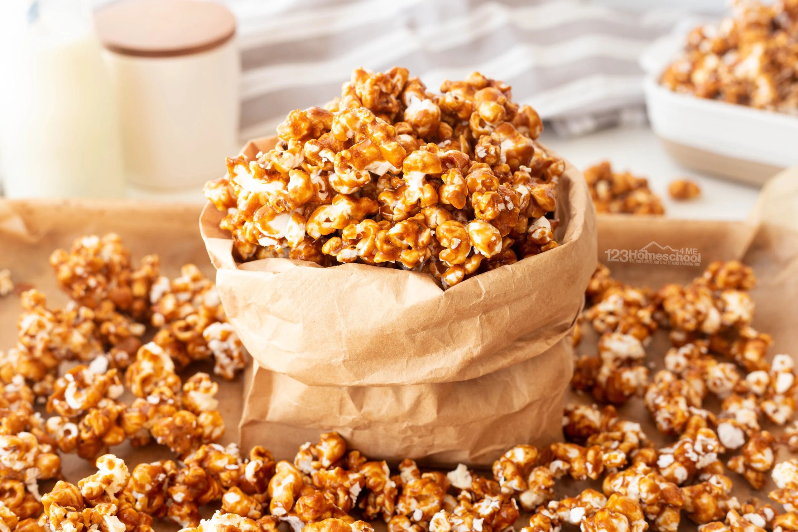 Popsations "Fall Flavors" Gourmet Popcorn