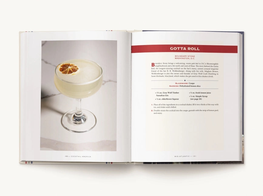 Cocktail America Book
