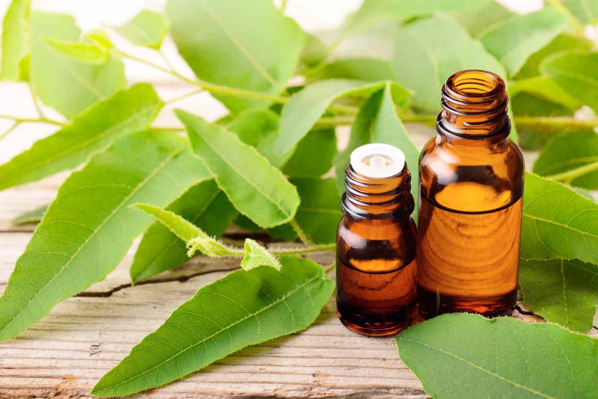 Nourish Natural Products Be Well for Hands